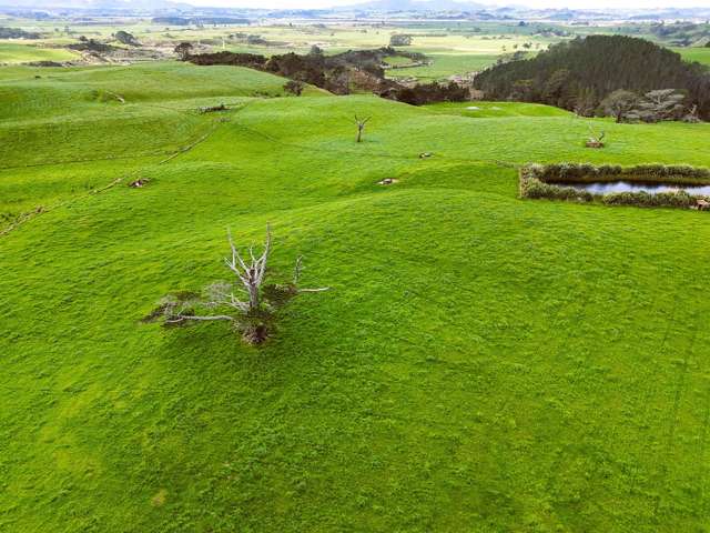 26 Mahuta Road Dargaville_3