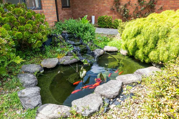 7 Ron Wyatt Lane Waiuku_16