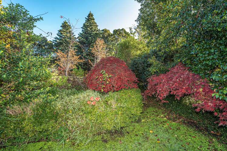 39a Brassey Road Saint Johns Hill_5