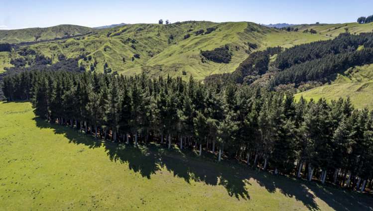 7 Hikawera Road Hinakura_20