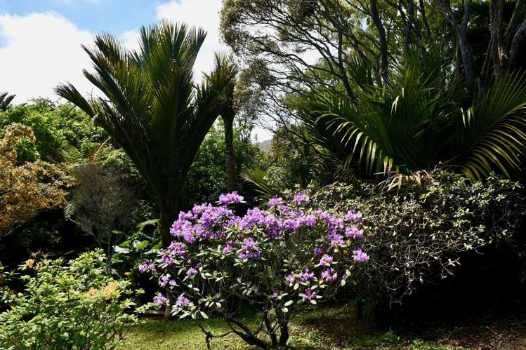 99 Oparara Road Karamea_25