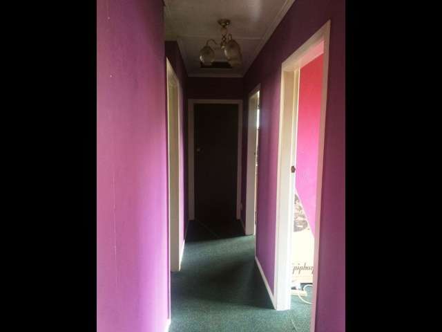 8 Lasenby Street Fordlands_3