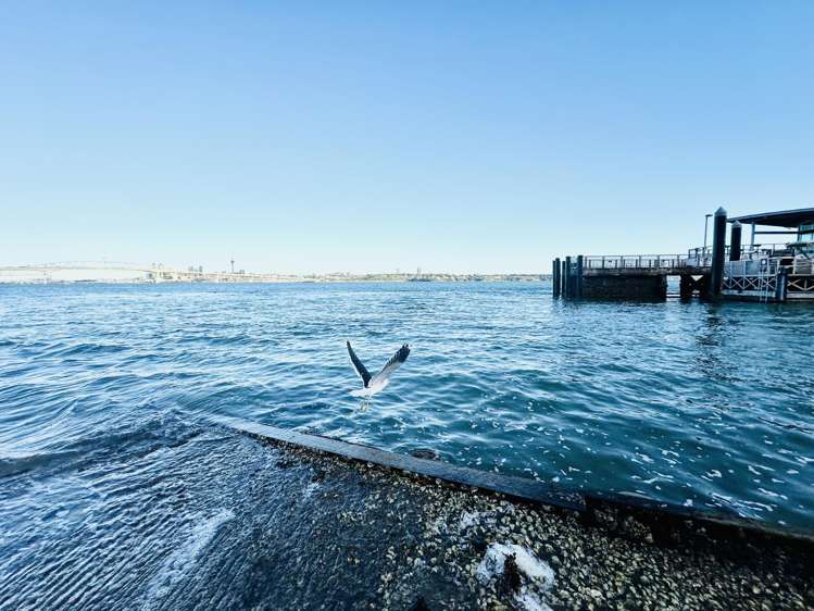 215/19 Rawene Road Birkenhead_21