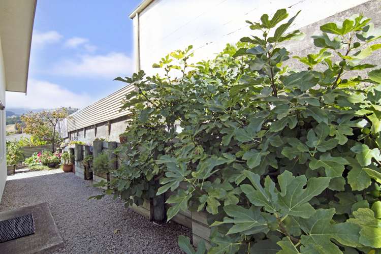 503a Waimea Road Annesbrook_19