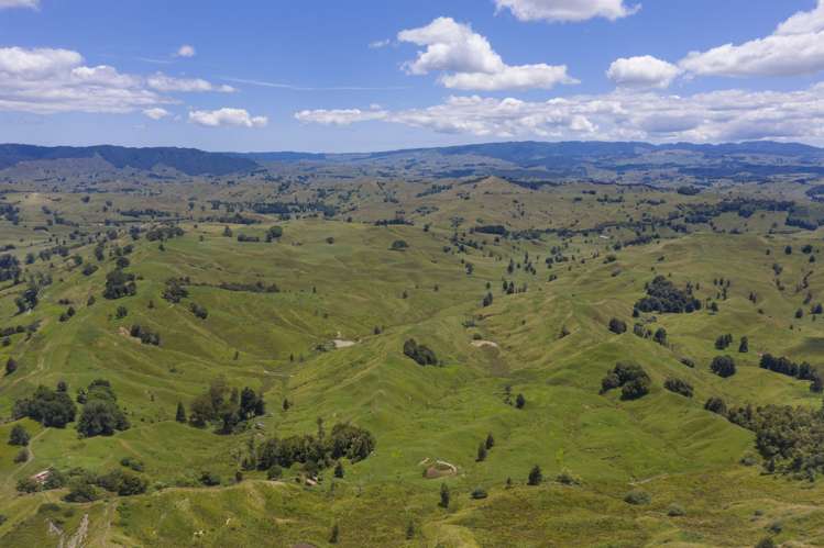 510 Barclay Road Aria_8