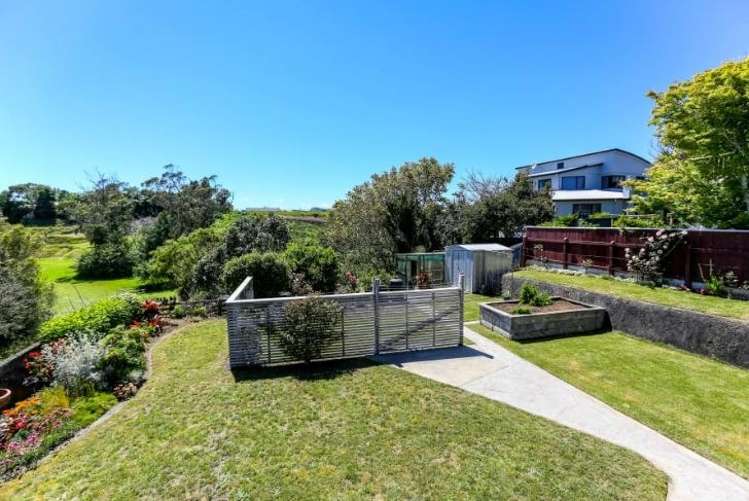 233B Carrington Street 10844_14