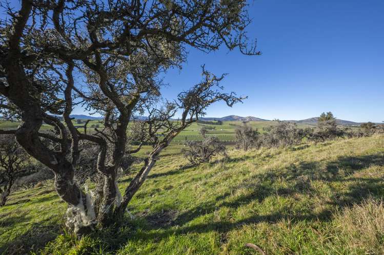 690 Kakapo Road Te Anau_21