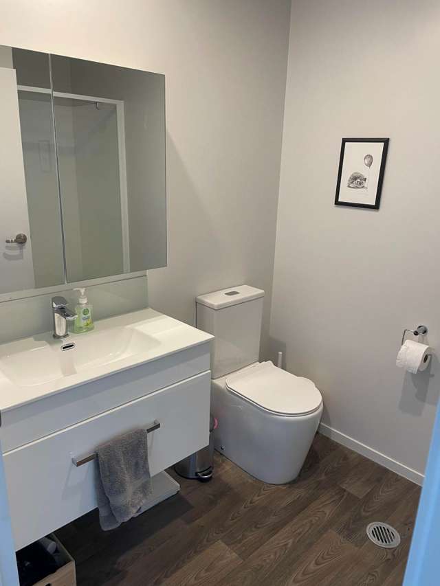 46 Matawhanga Drive Wattle Downs_3