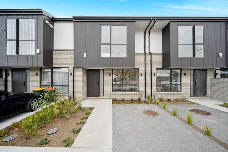 53 Paapaakiri Loop_0