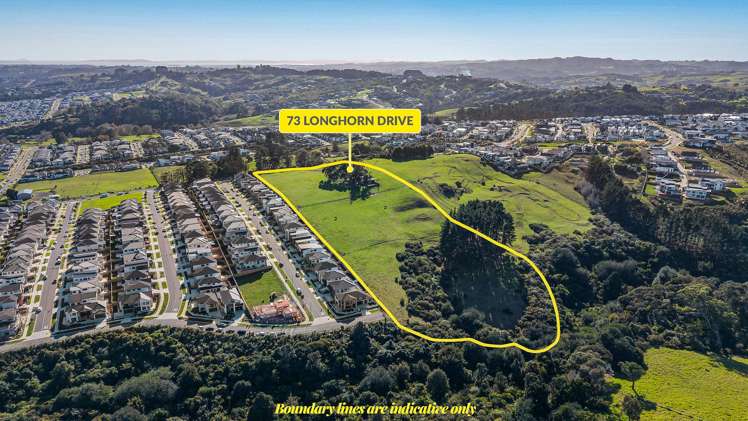 73 Longhorn Drive Flat Bush_7