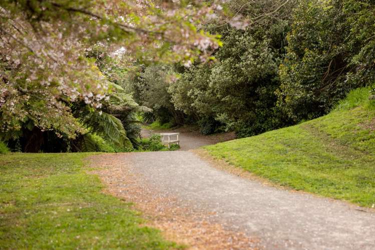 45 Acornia Close Ohauiti_34