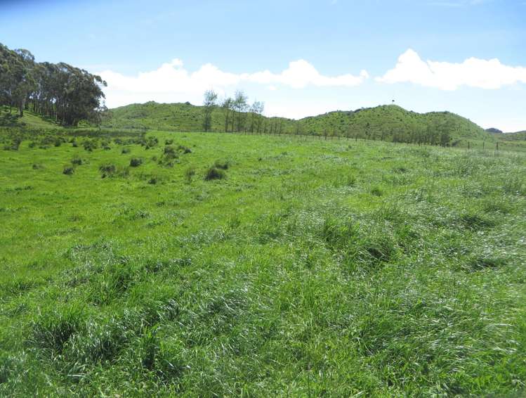 616 Muhunoa West Road Ohau_8