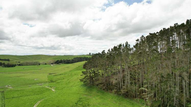 1108 Tokatoka Road Ruawai_13