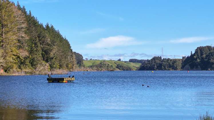 41 Tombleson Road Lake Rotoehu_15