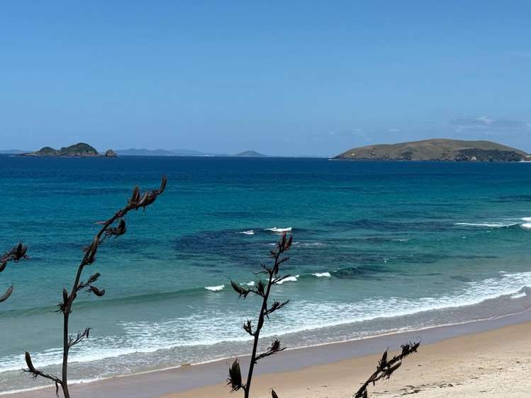 392 Henderson Bay Road Houhora_45