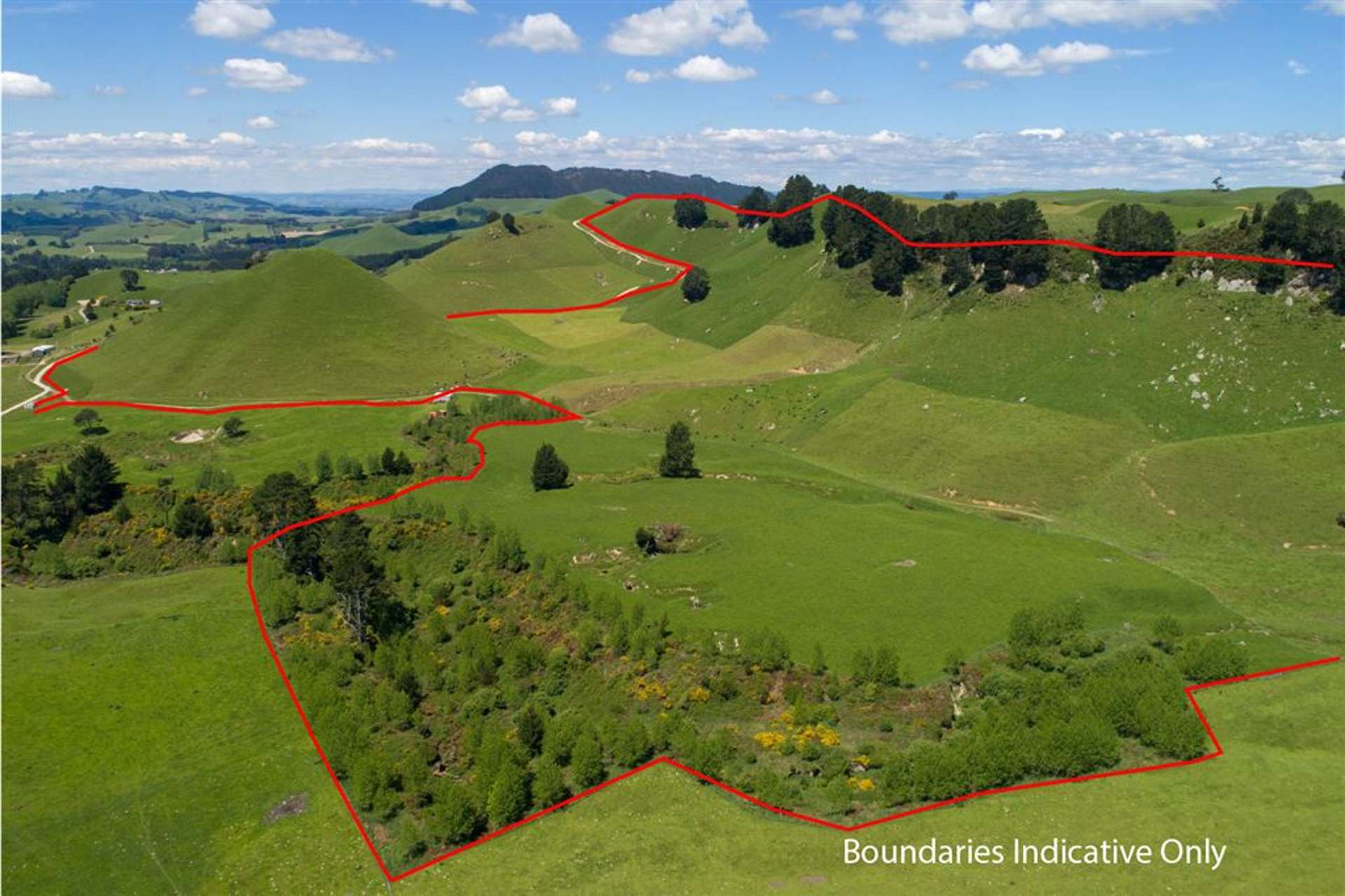 1943 Tutukau Road Wairakei and Surrounds_0