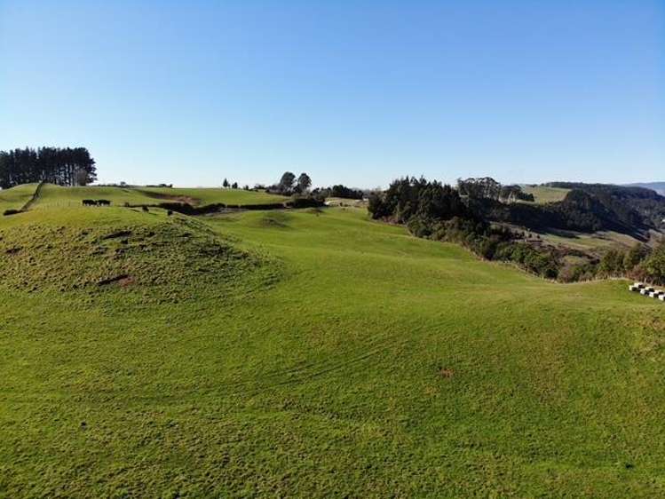 Te Waerenga Road, Hamurana Hamurana_4