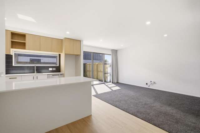 2/9 Spring Grove Street Spreydon_2