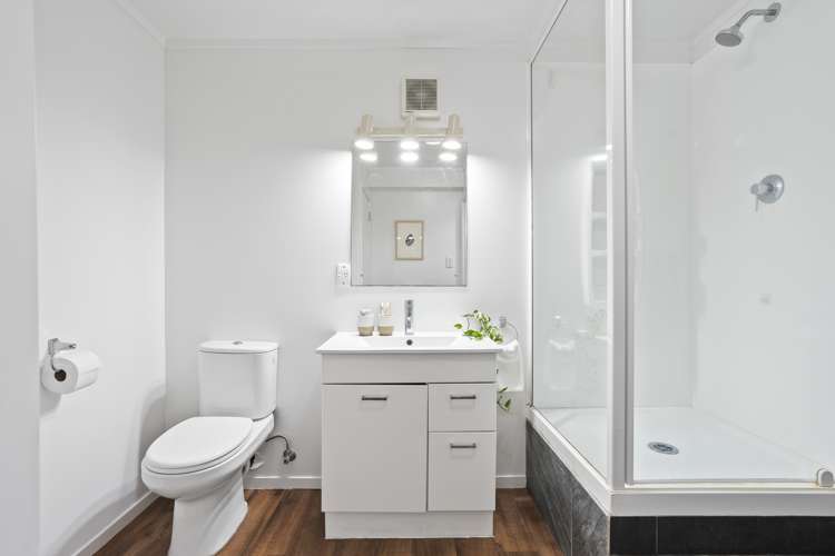 161b Carrington Road Mount Albert_17