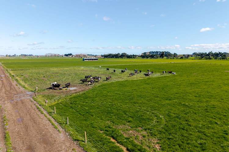 1040 Roberts Line Bunnythorpe_25