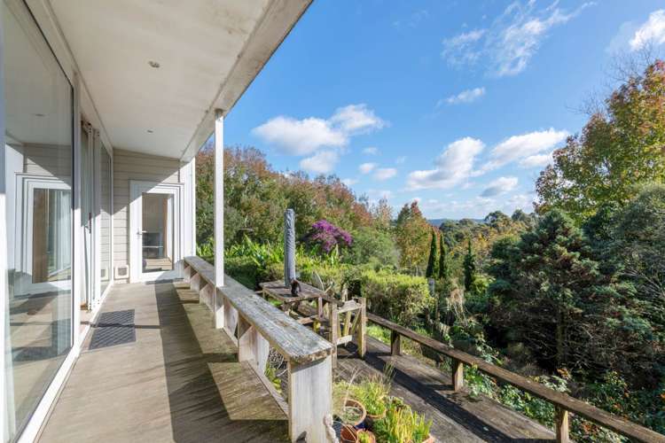 162 Ara-Kotinga Whitford_11