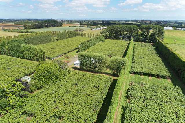 36 Eden Road Pukekohe_3