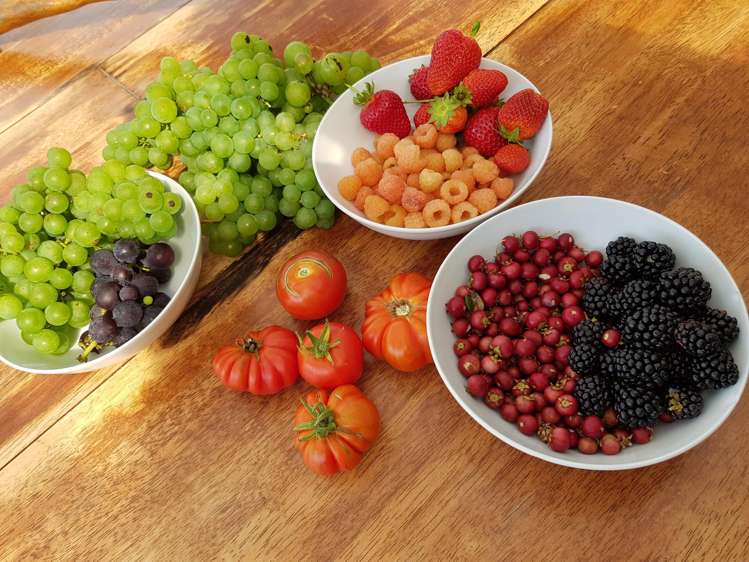 77 Hair Street Wainuiomata_24