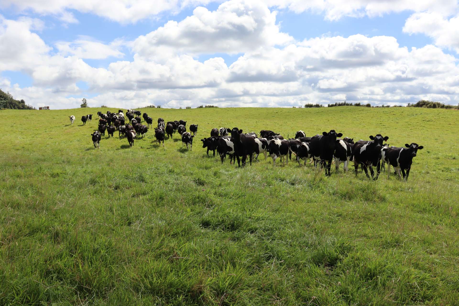 1 Waitaanga Road Ahititi_0