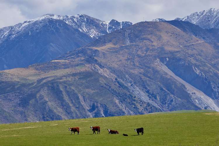 3429 Inland Kaikoura Road Mt Lyford_21