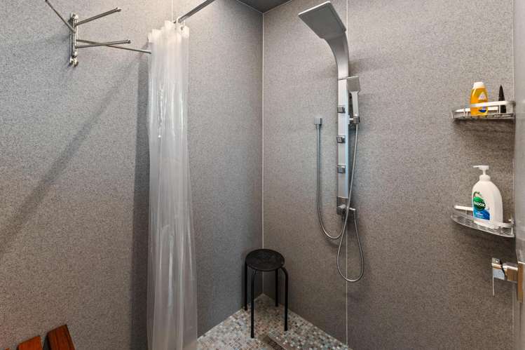 11A Waimarino Tokaanu Road National Park_14