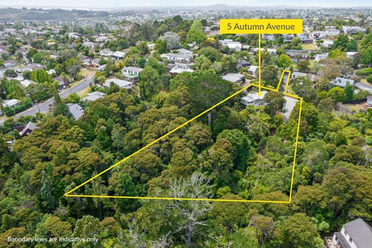 5 Autumn Avenue Glen Eden_34