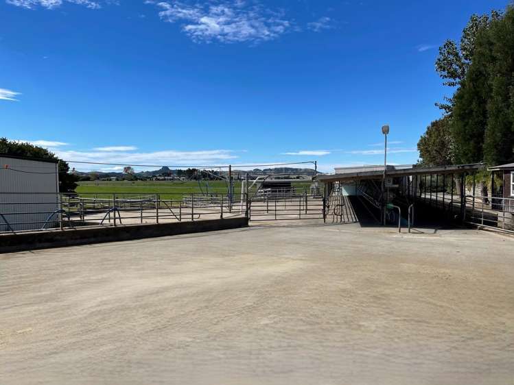 674 Pouto Road Dargaville_10