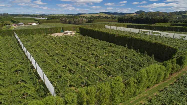 748 No 1 Road Te Puke_7