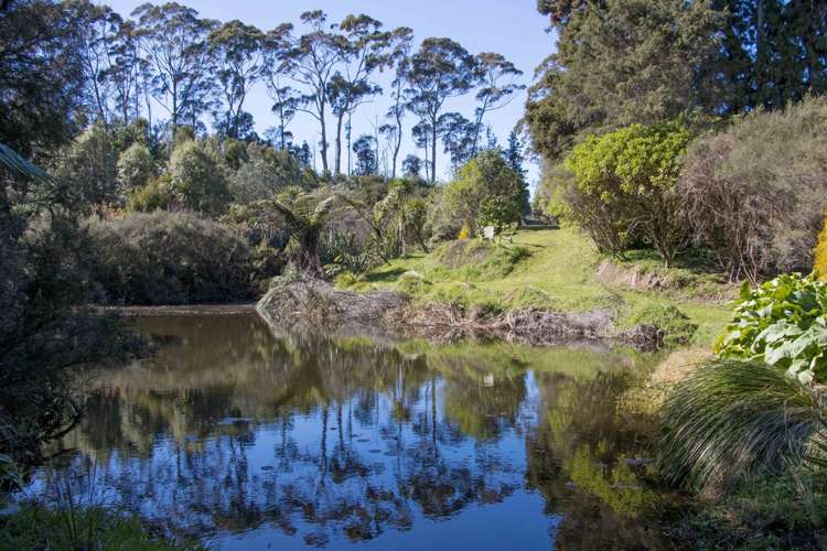 21 Anderson Lane Whakamarama_18