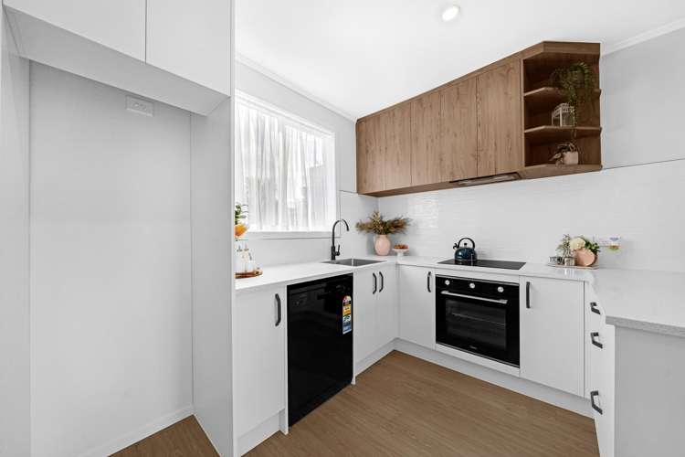 101 Seabrook Avenue New Lynn_8