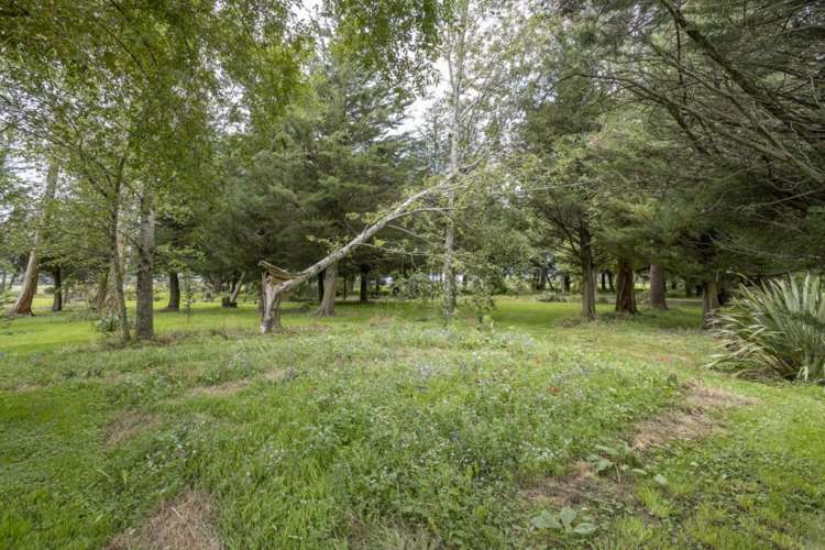 247 Stubbs Road Starvation Hill_28