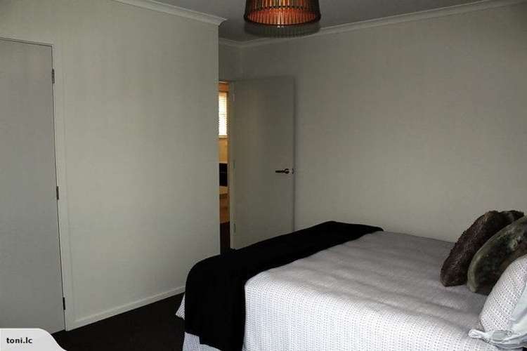 327 Rewi Street Te Awamutu_7