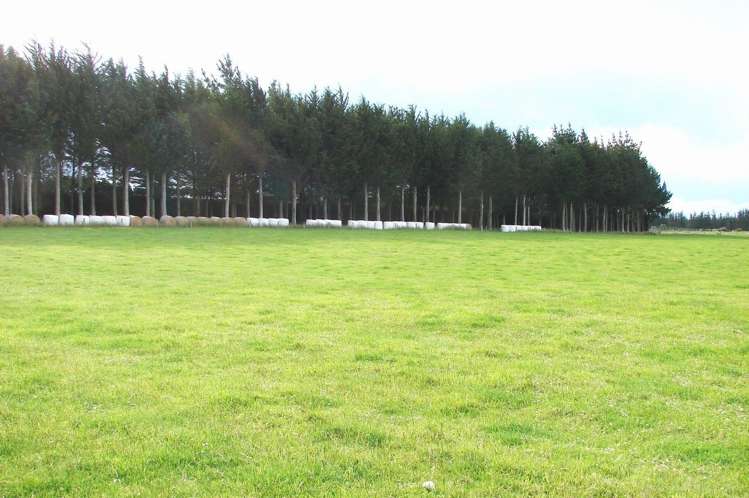 389 Mckenzie Road Winton Surrounds_18