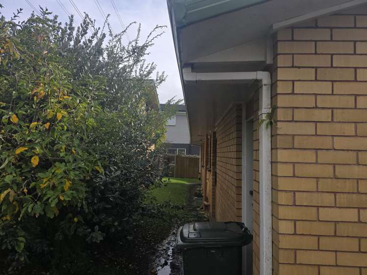 1/6 Andes Place Lynfield_4