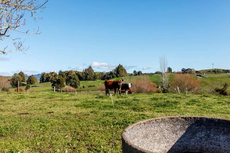 25 Lerwick Lane Waimana_35