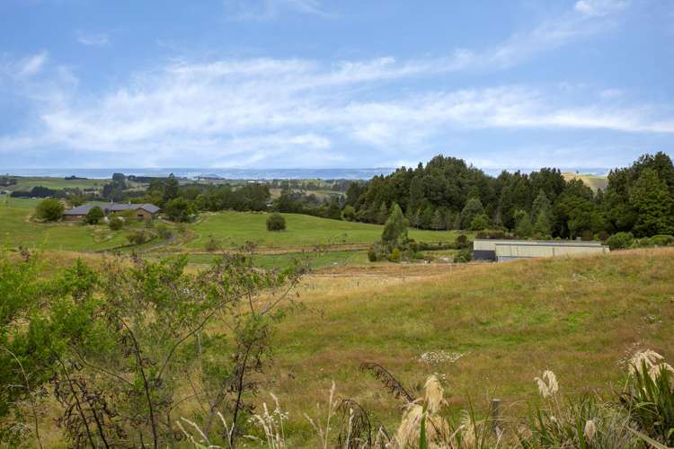 213 Forest Road Oruanui_11