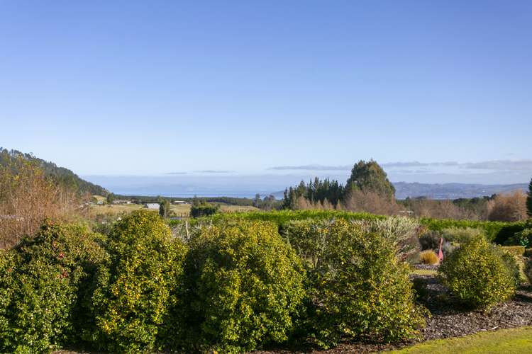 8 Mark Wynd Maunganamu_33