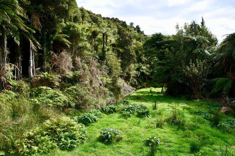 40Ha Block State Highway 67 Mokihinui_12