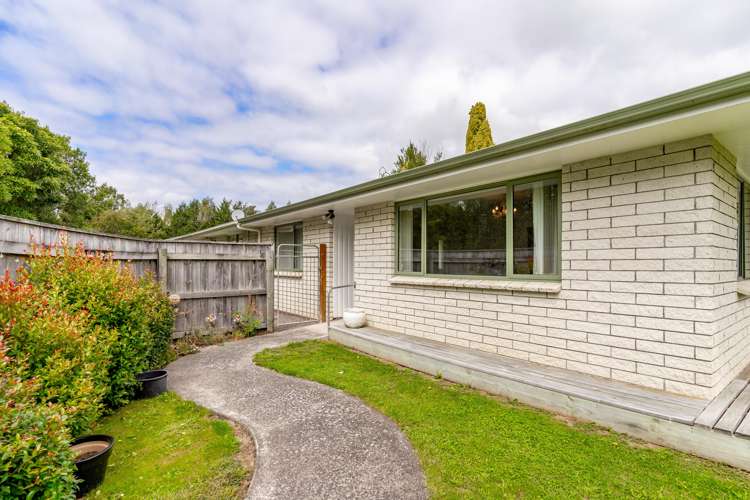 113a East Street Greytown_12