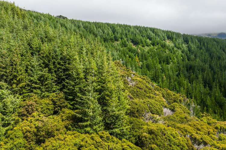 226 Middle Road Pigeon Bay_14