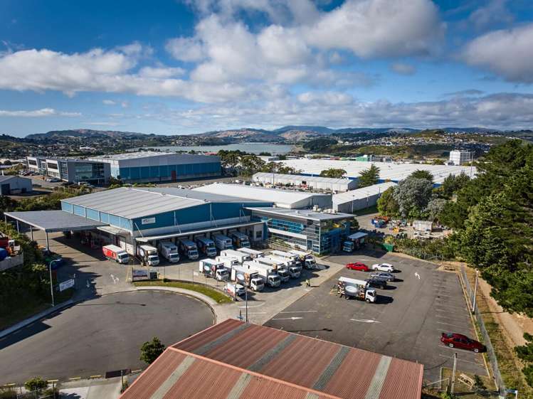 9-11 Matiu Close Elsdon_14