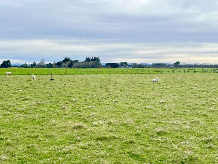 70 Woodlands Cemetery Road Woodlands_8