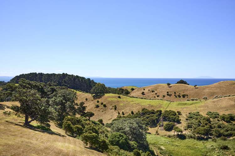 7 Tamihana Road Ostend_13