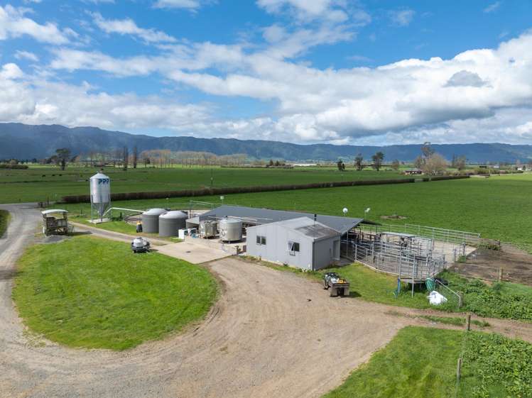 416 Wardville Road Matamata_1