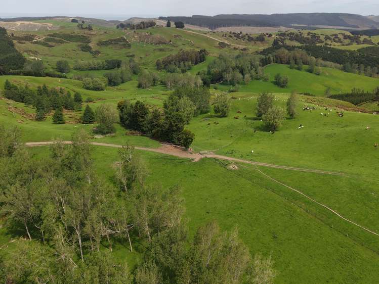 66 Otokia-Kuri Bush Road West Henley_18